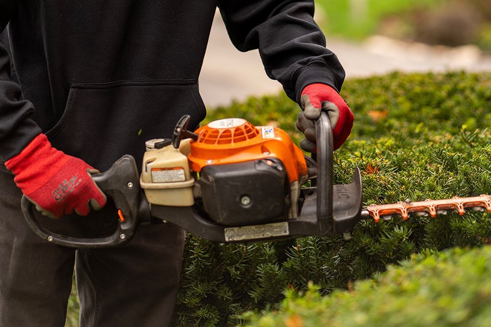 Person wearing red gloves trims a green hedge with a hedge trimmer.