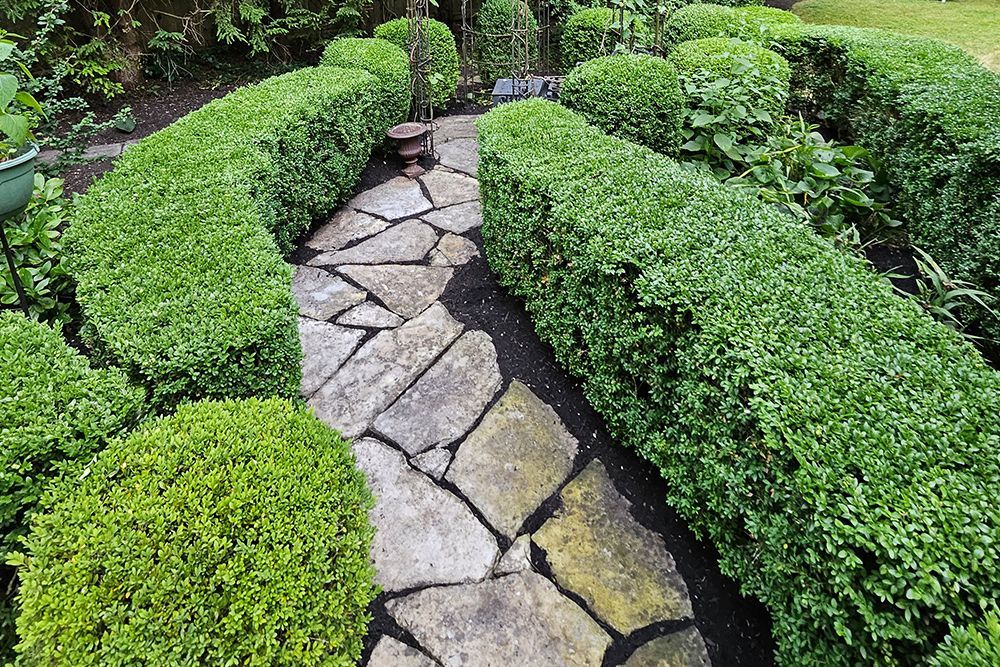 A stone path winds through a garden with neatly trimmed green hedges.