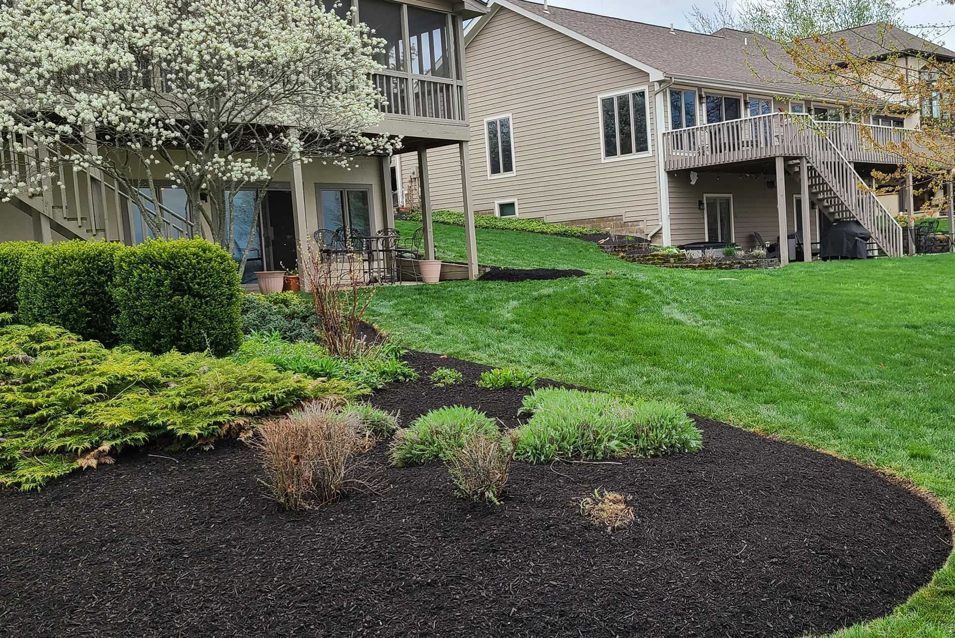 Lush green lawn with dark mulch beds in front of a beige house with a deck.