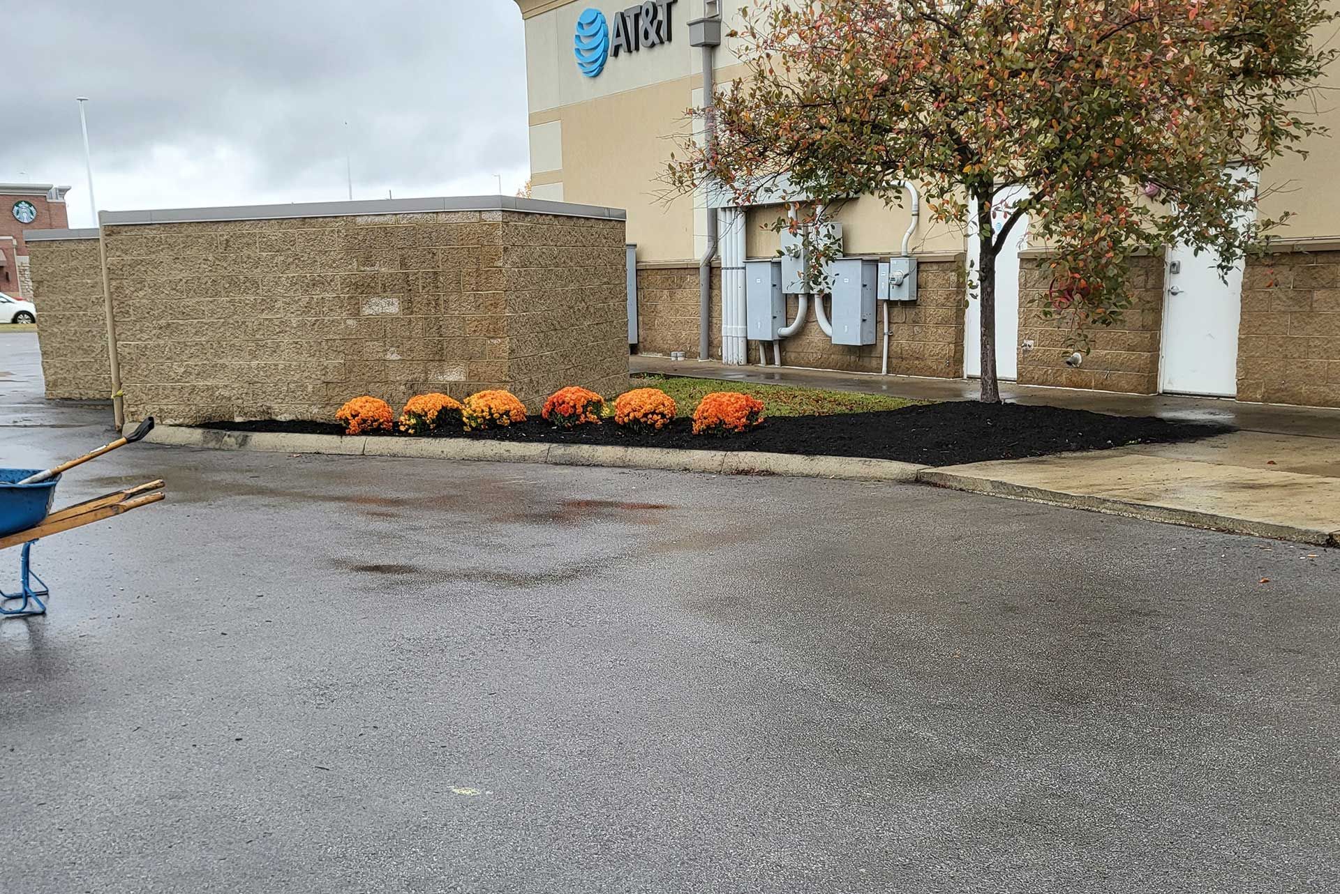 Exterior of an AT&T store with pumpkins in a flower bed.  A tree, a construction barrier, and wet pavement are also visible.