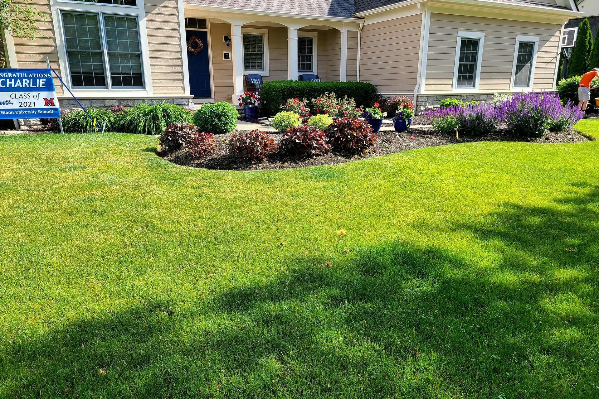 Lawn with striped pattern, trees in background, blue sky, sunny day.