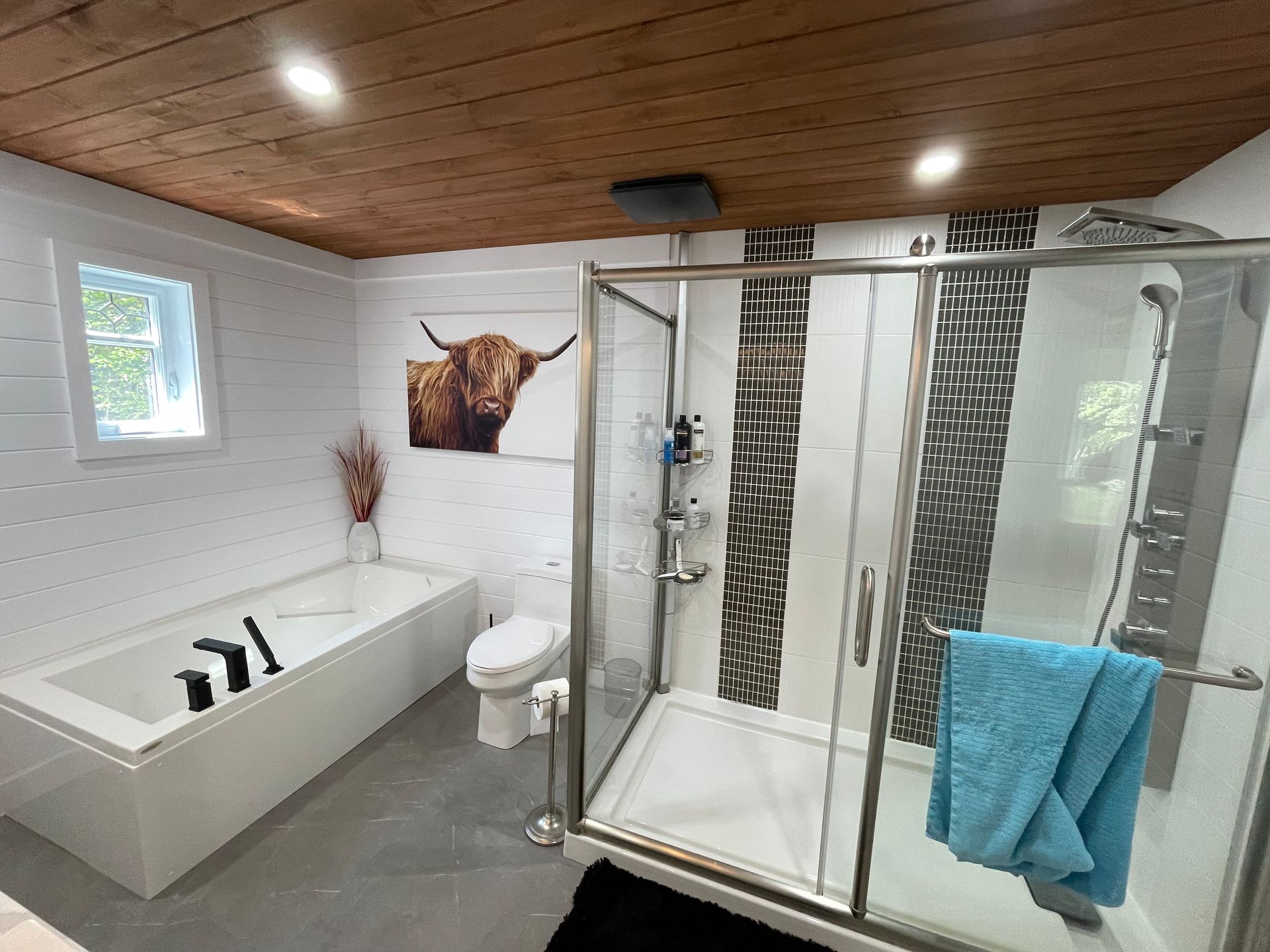 Salle de bains moderne avec baignoire blanche, douche vitrée, plafond lambrissé et sticker mural représentant une vache des Highlands.