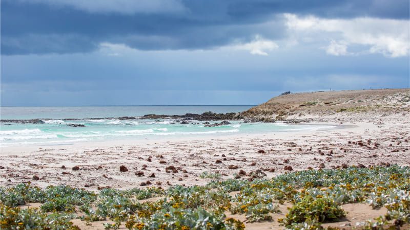 A vivid photo of the skyline of Stanley on the Falkland Islands