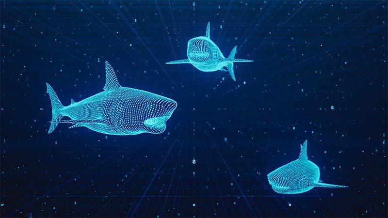 Neon sharks made out of code.