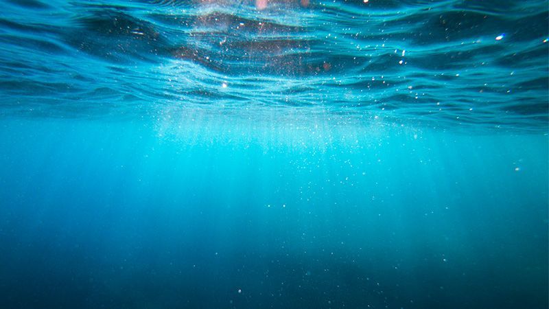 Murky gloom under the sea with light rays piercing from above