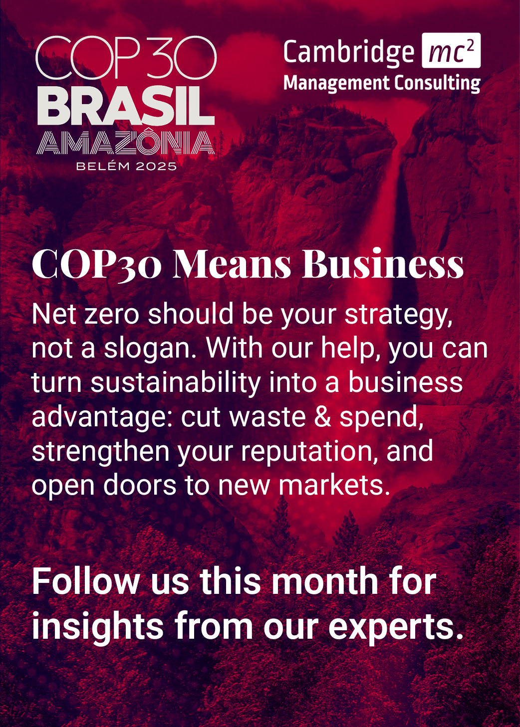 Display Ad about COP30