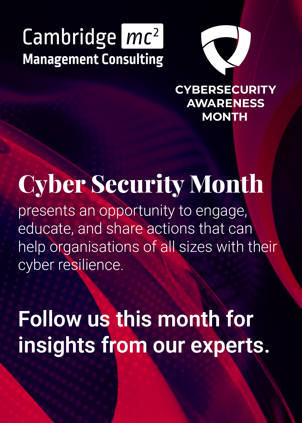 Display Ad about Cyber Security Awareness Month