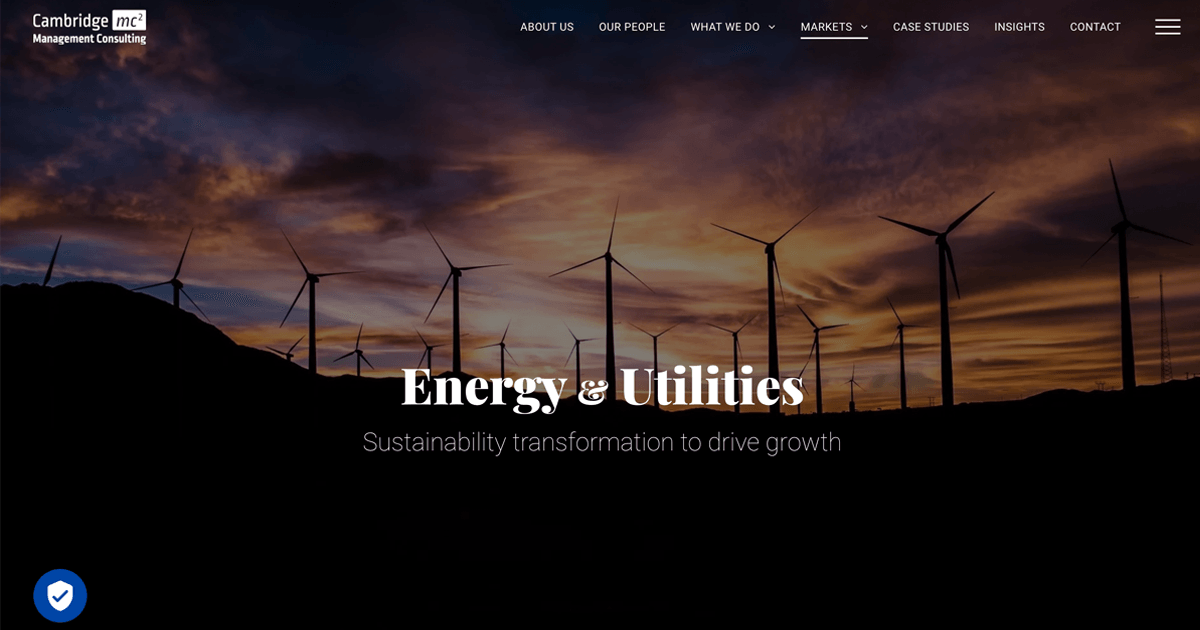 Energy & Utilities Cambridge Management Consulting