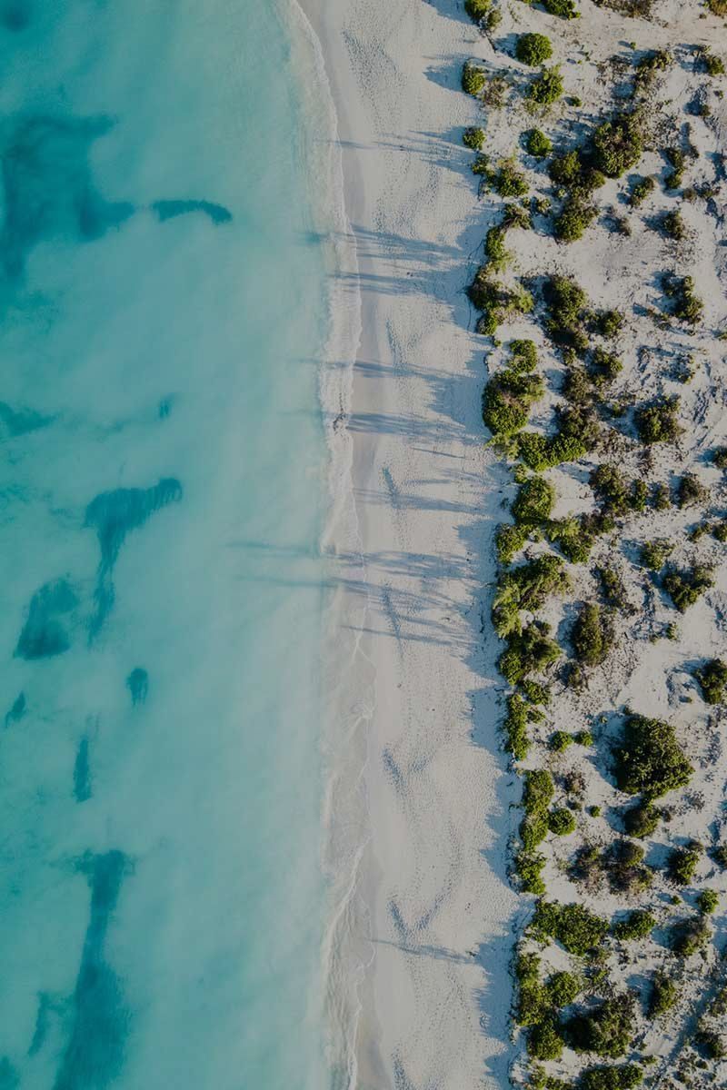 Satellite in the Earth's orbit with blue lines showing telecoms connections