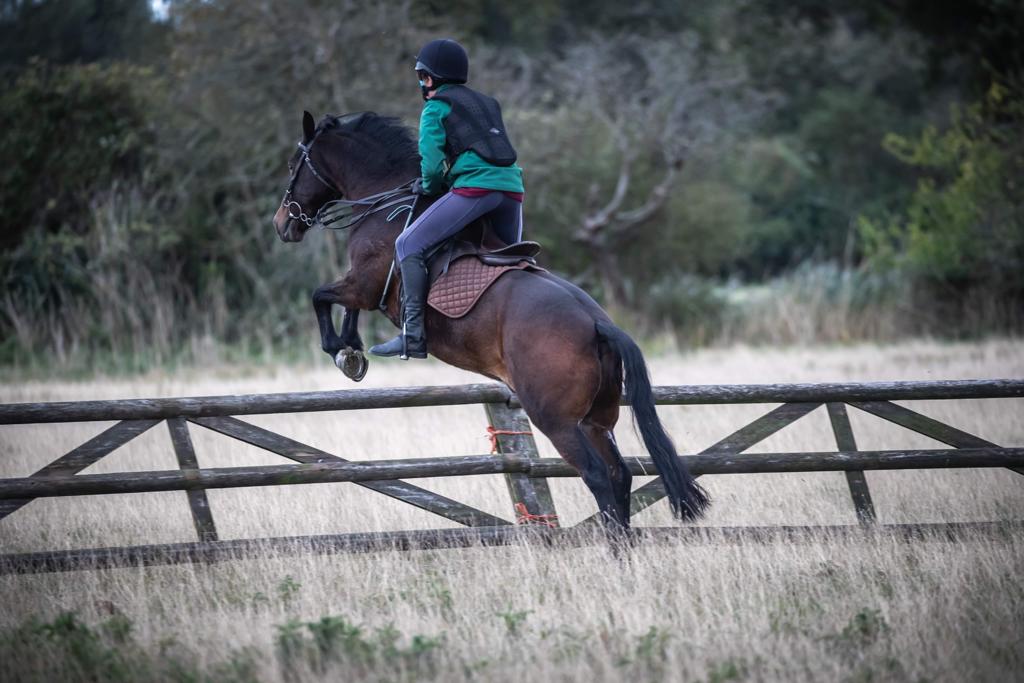 A photo of Reuben jumping a fence on his horse