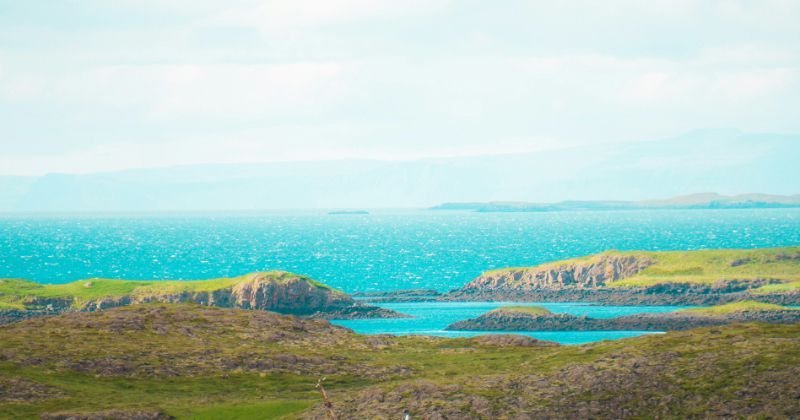 A heath-covered bay on the Falkland Islands