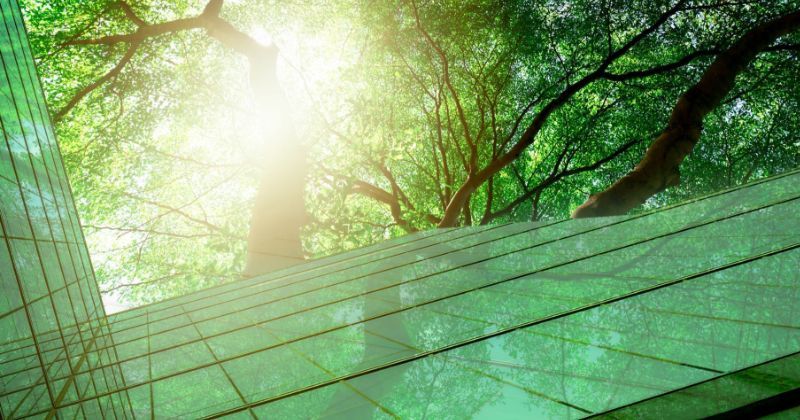 A glass building in a forest. Close up wide angle view with green hue