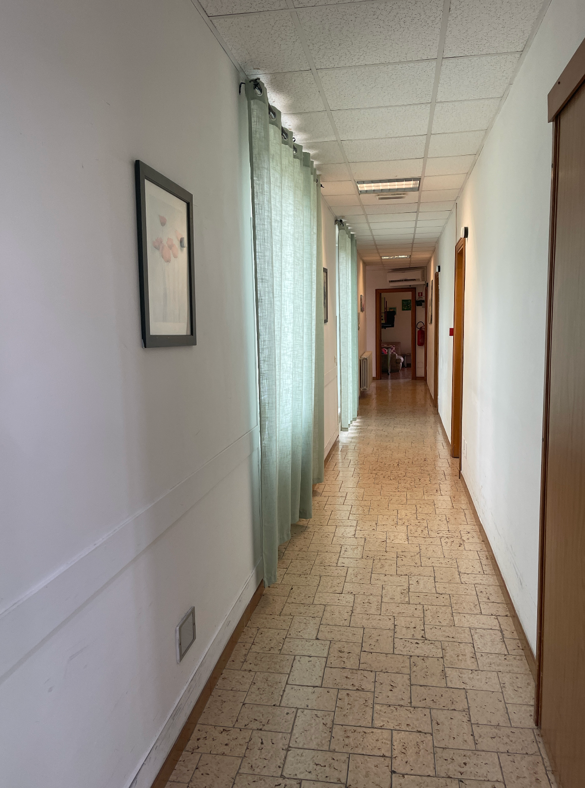 rampicante esterno artificiale