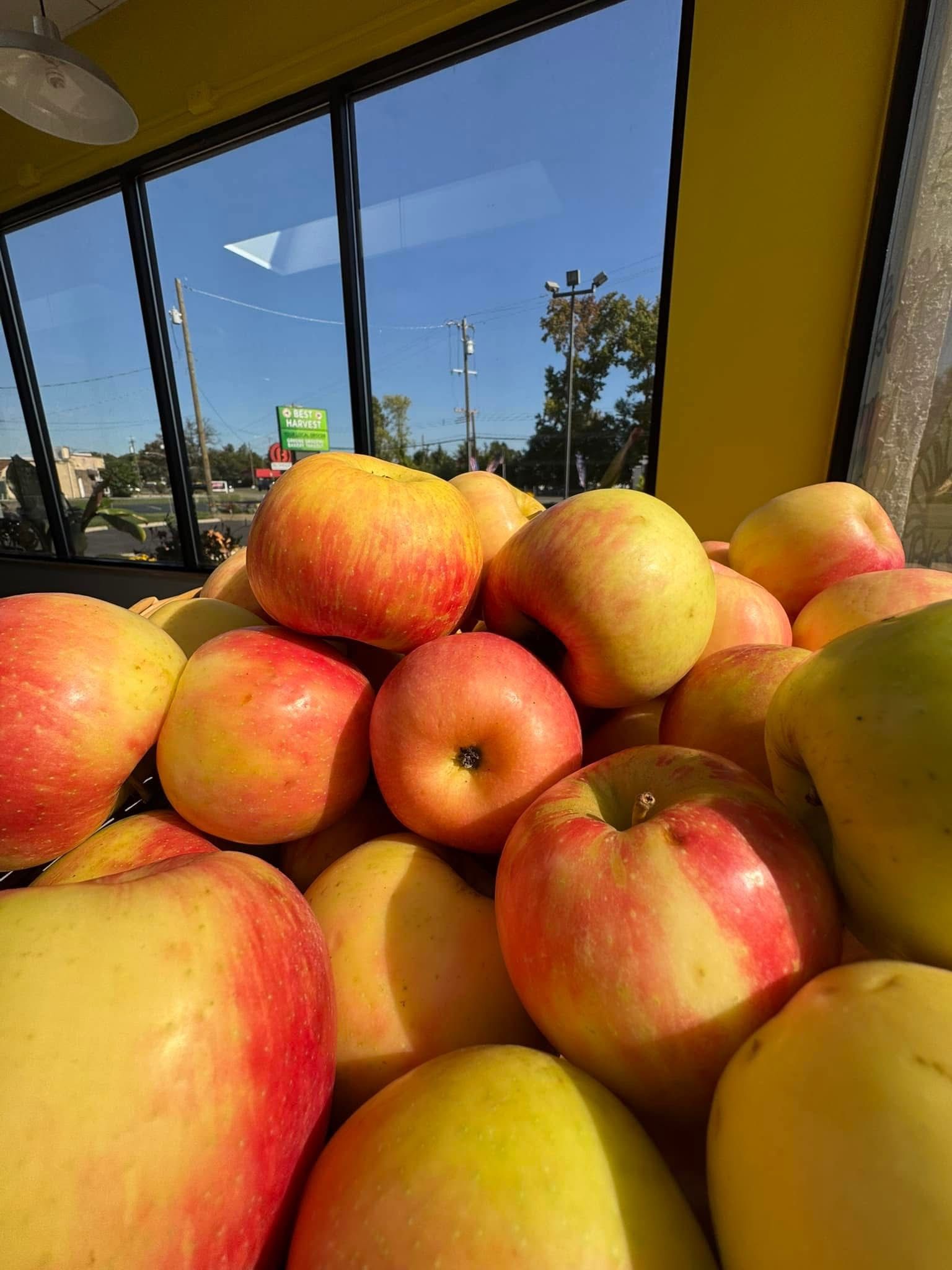 A bunch of apples are sitting on a table in front of a window.