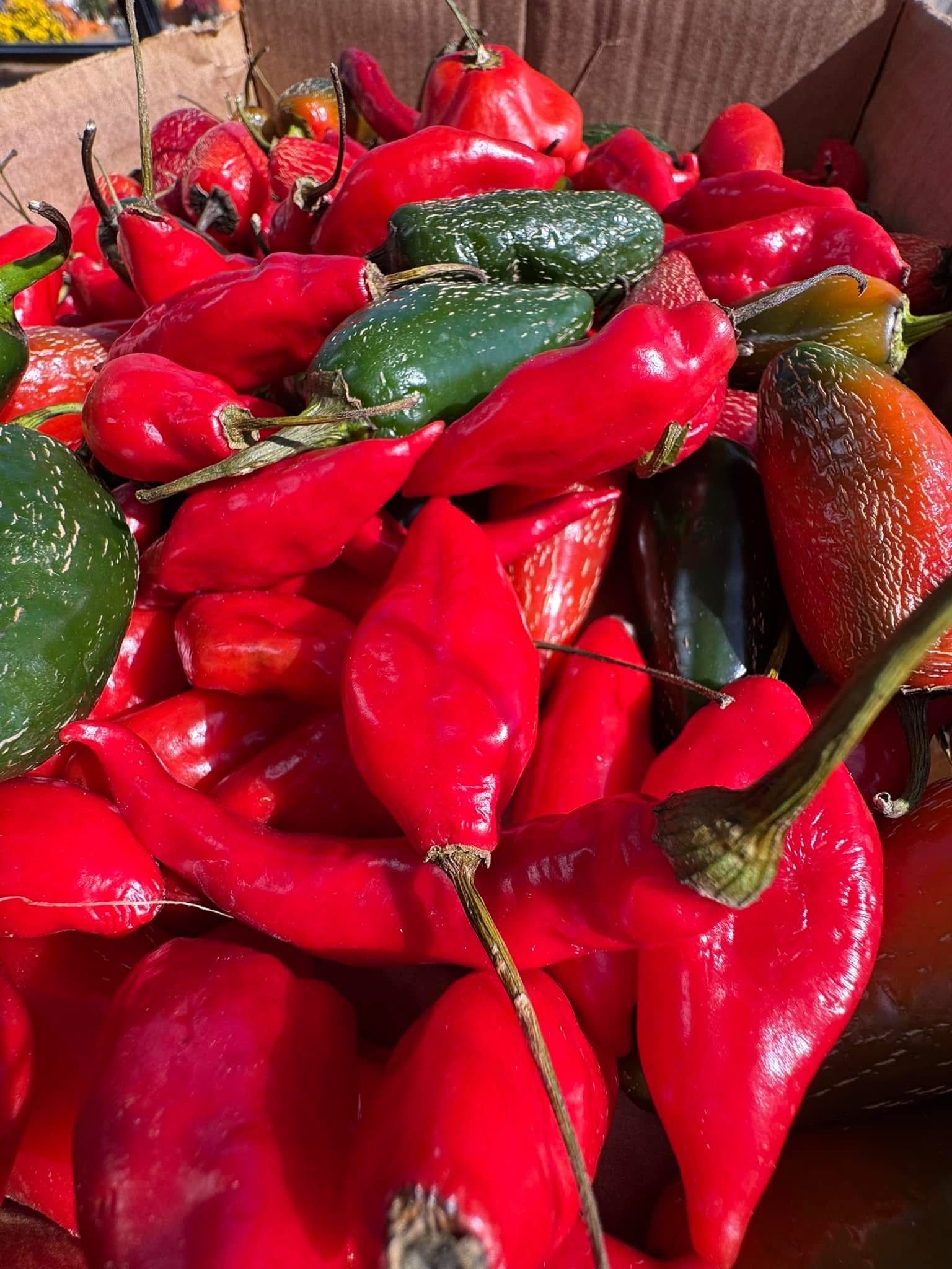 A pile of red and green peppers in a cardboard box.