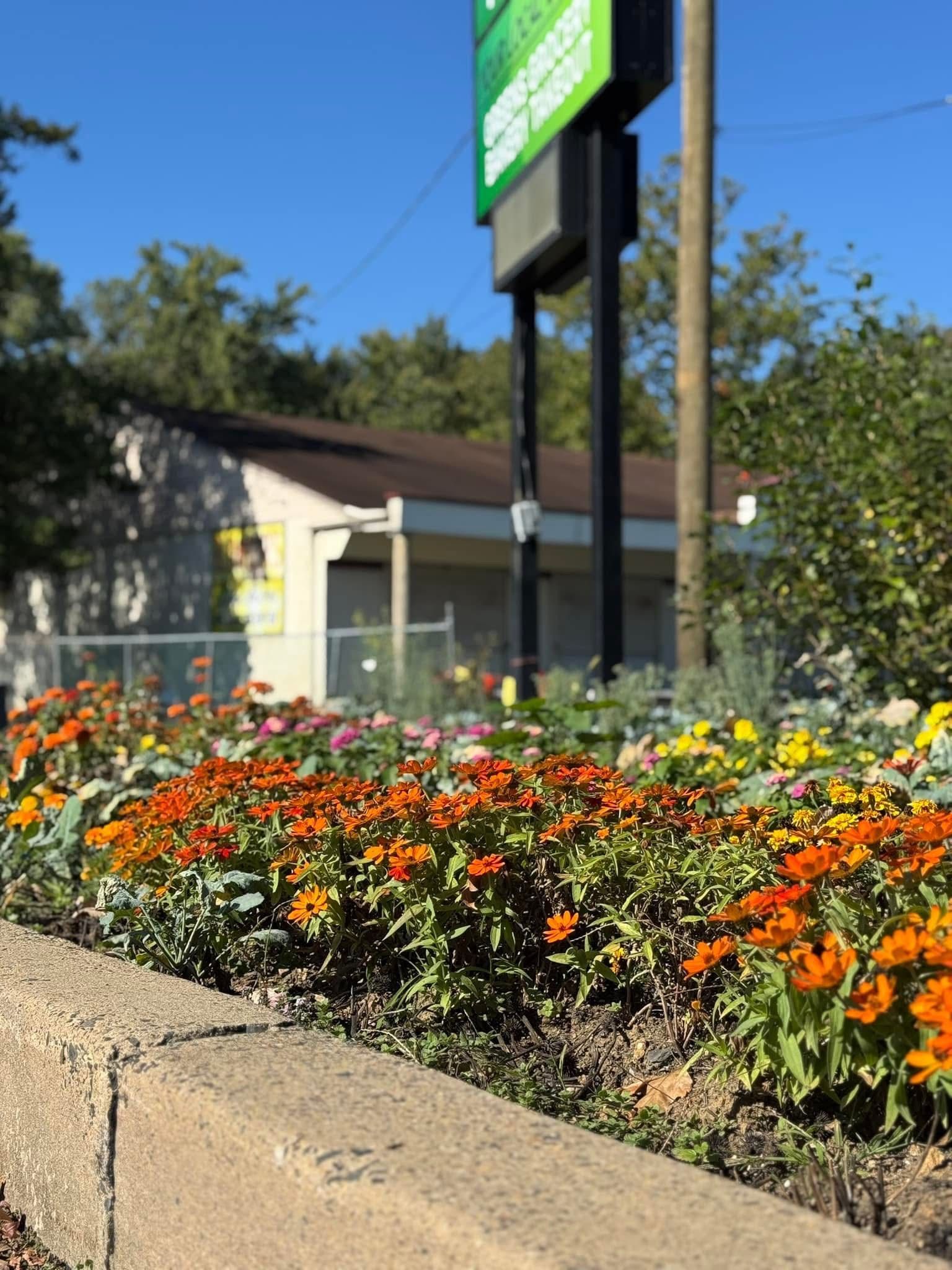 A garden with flowers and a sign in the background