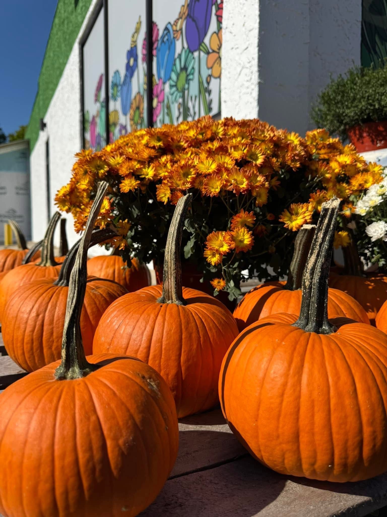 A bunch of pumpkins are sitting on a table in front of a building