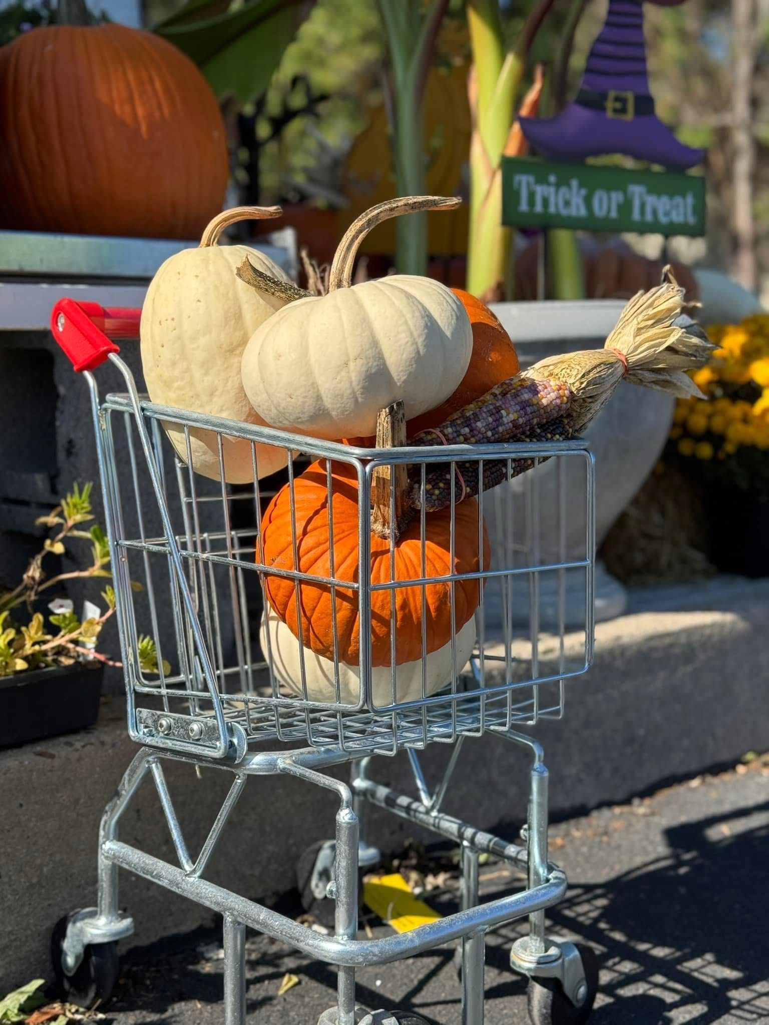 A shopping cart filled with pumpkins and a sign that says trick or treat