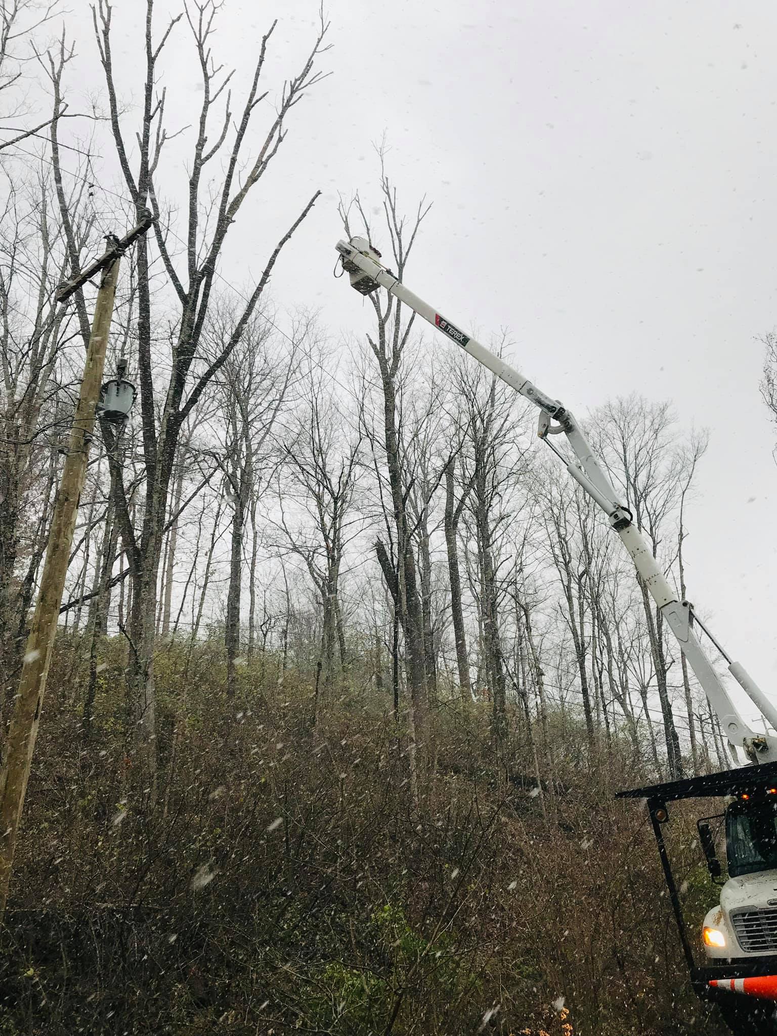 Trees And White Heavy Machinery — Middletown, OH — Ash Tree Service Pro