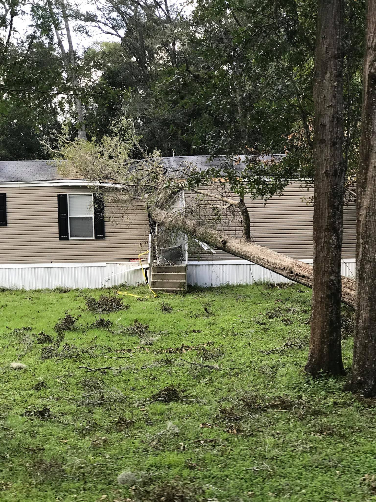 Fallen Tree On House — Middletown, OH — Ash Tree Service Pro