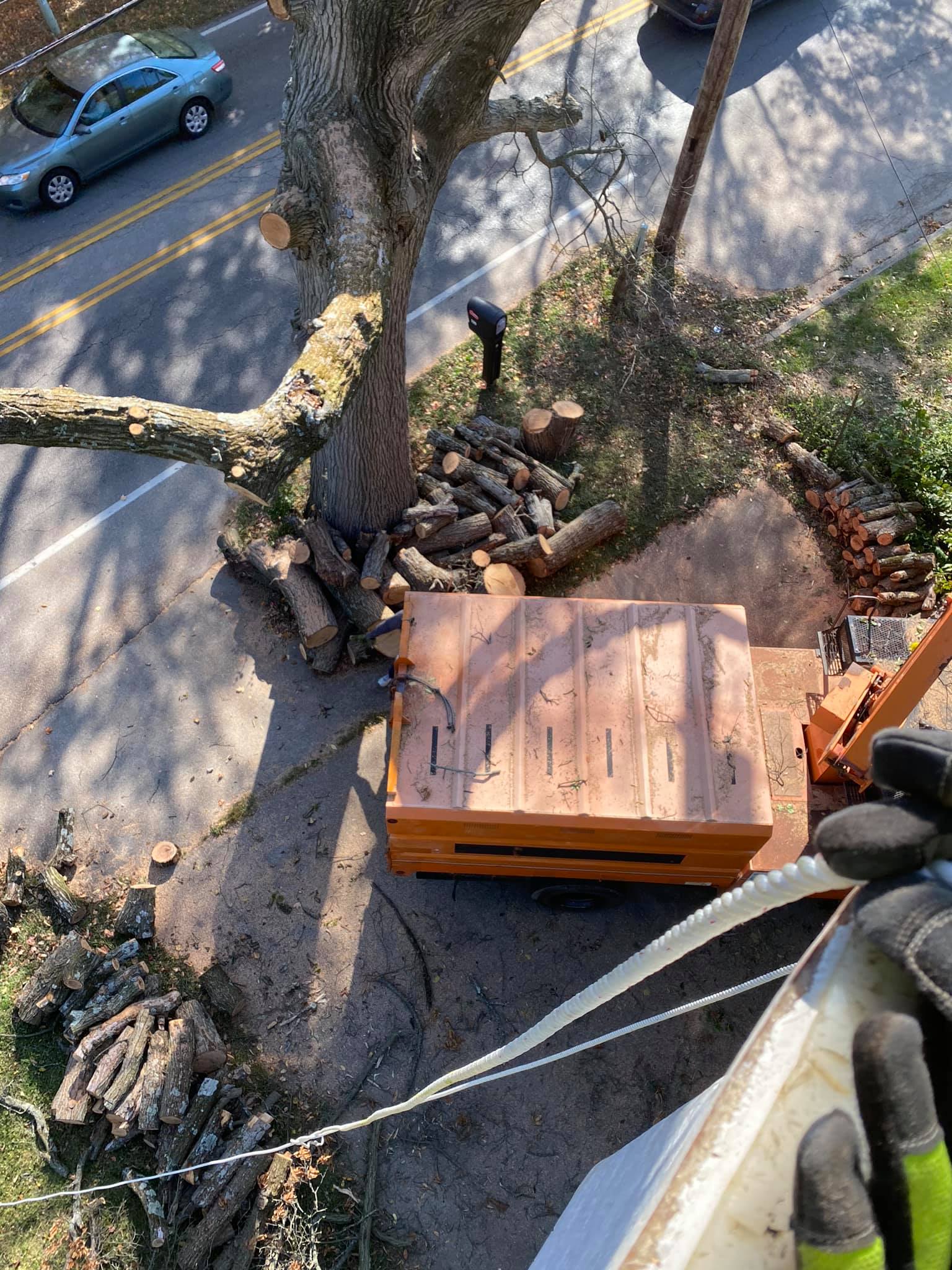 Above Tree and Heavy Machinery — Middletown, OH — Ash Tree Service Pro