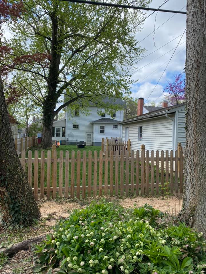 Trees With Plant— Middletown, OH — Ash Tree Service Pro