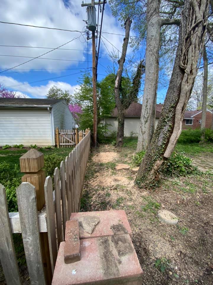 Tree Close To Fence — Middletown, OH — Ash Tree Service Pro