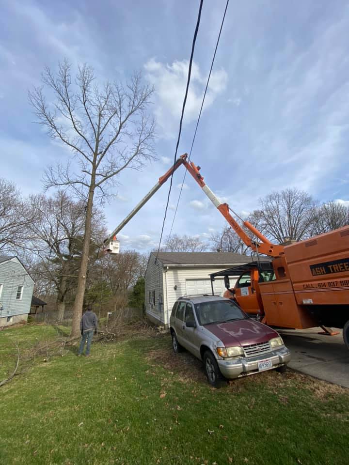 Tree With Heavy Machinery — Middletown, OH — Ash Tree Service Pro
