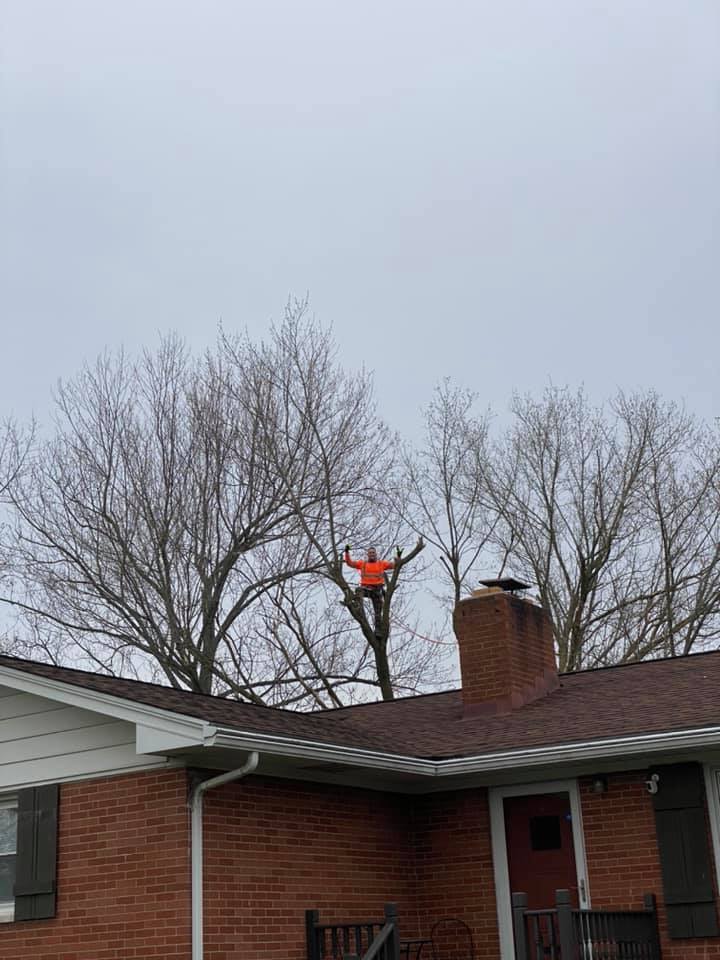 Man On Tree Behind House — Middletown, OH — Ash Tree Service Pro