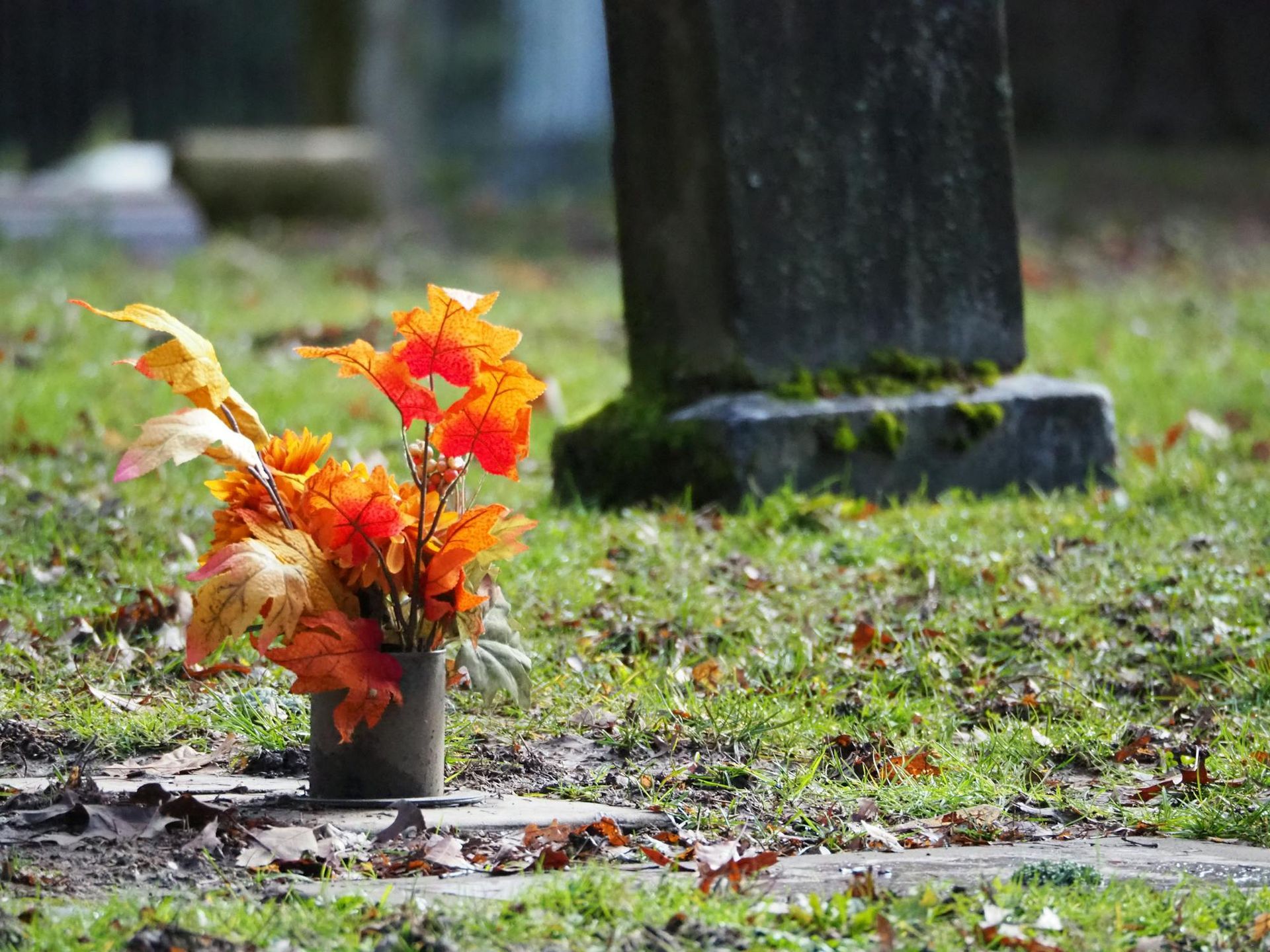 A Vase of Flowers is Sitting on a Grave in a Cemetery — Psychology Practice In Tweed Heads, NSW