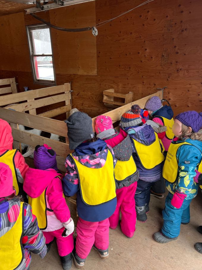 Un groupe d'enfants se tient dans une grange et regarde une vache.