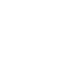 Empty white background.