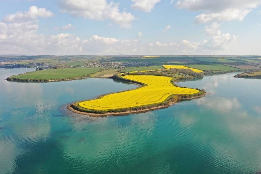 Island with yellow fields and blue water.