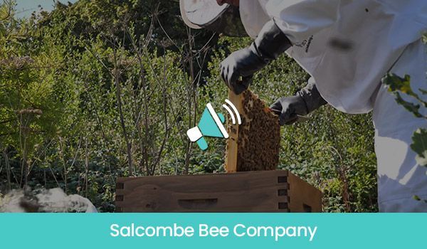 Beekeeper inspecting a honeycomb frame outdoors for Salcombe Bee Company.