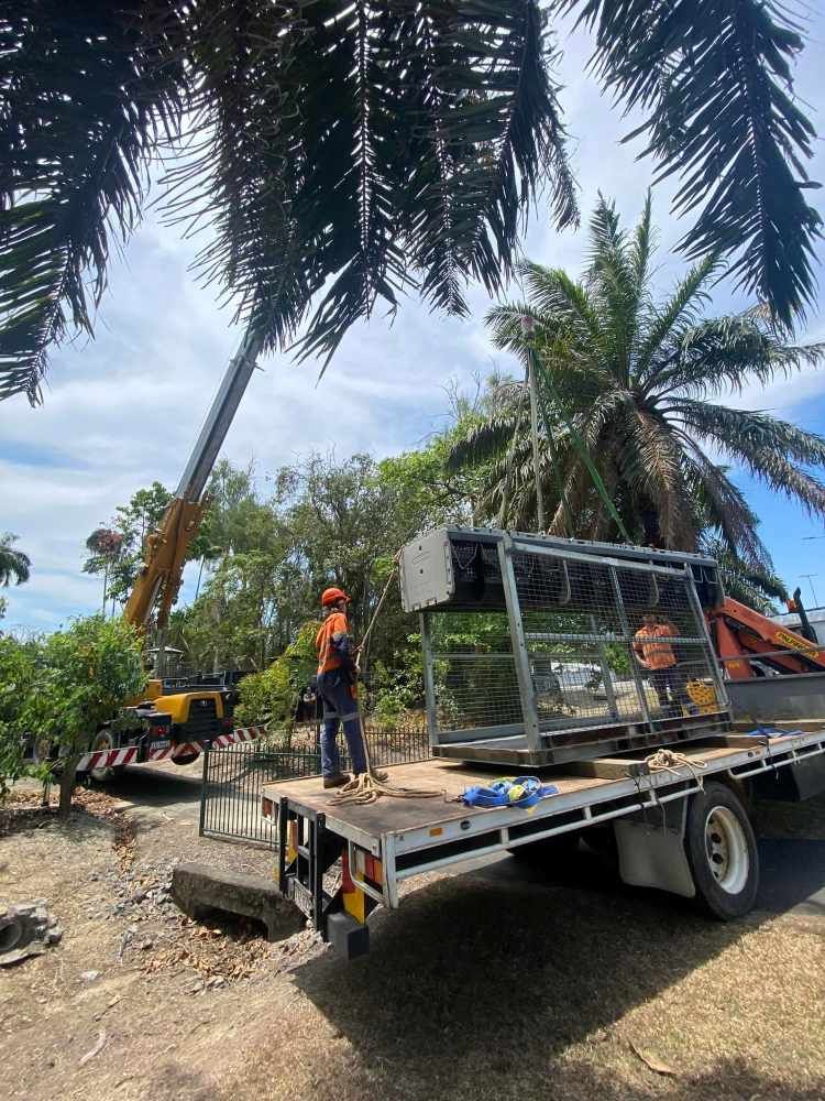 A Man is Standing on the Back of a Truck With a Crane — Kelly's Crane Hire in Port Douglas, QLD