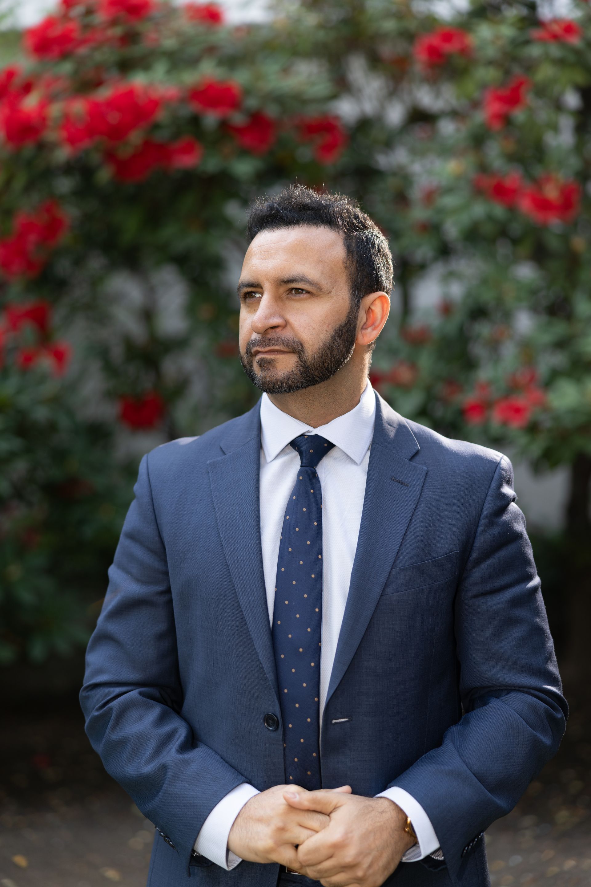 A man in a suit and tie is standing in front of a bush of red roses.