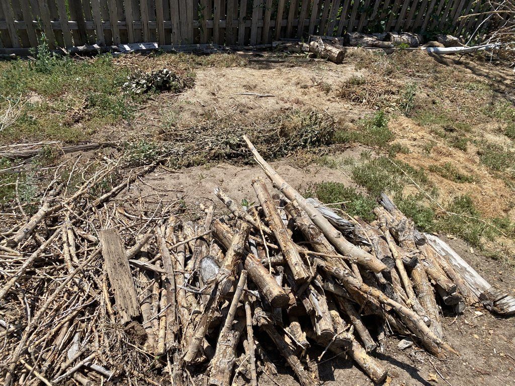 pile of logs in a backyard awaiting removal from property in colorado springs
