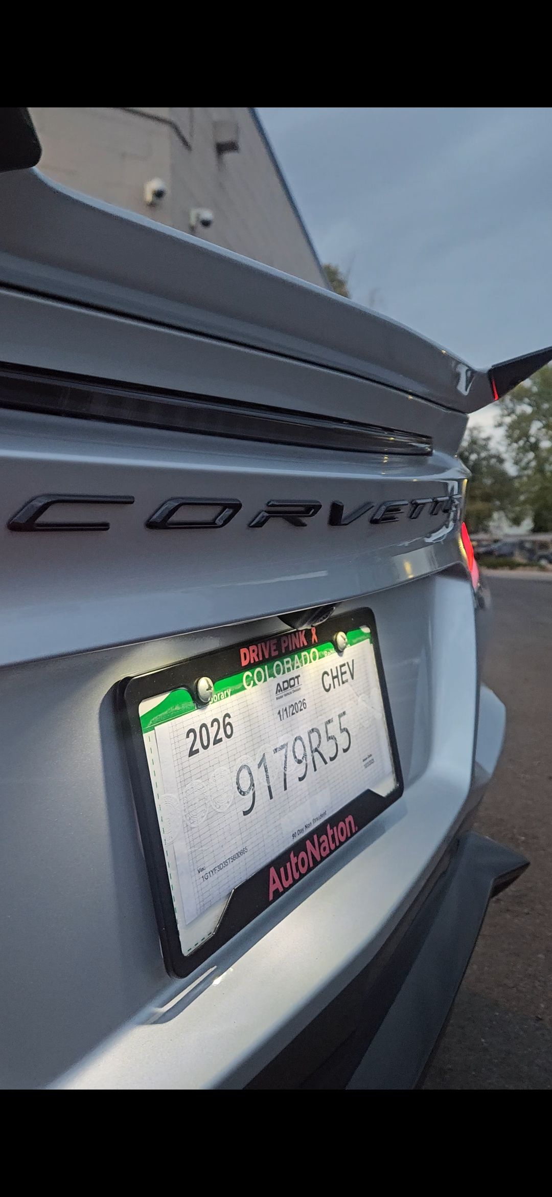 Rear view of a silver Corvette with license plate, 