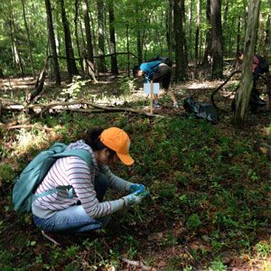 People kneeling and planting in a wooded forest clearing, wearing gloves, backpacks, and hats.