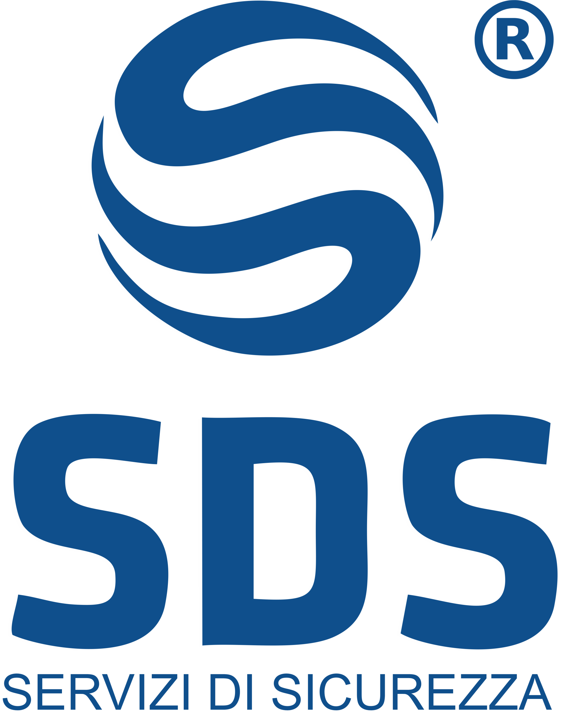 Logo SDS blu con un globo stilizzato sopra e la scritta 