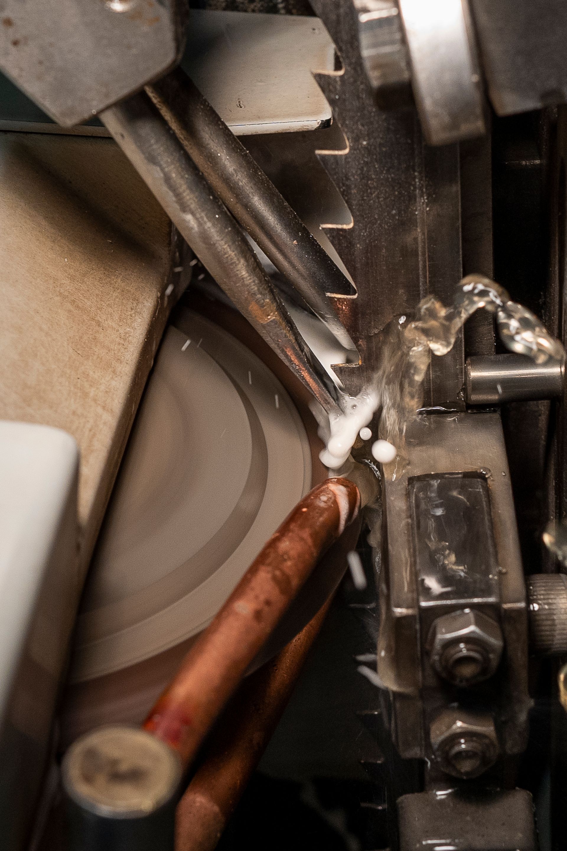 Lama di una sega a nastro