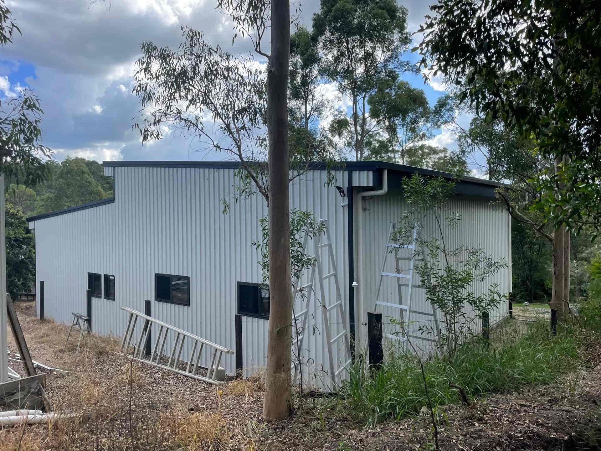 A white building with a ladder in front of it is surrounded by trees. — Just Sheds In Kunda Park, QLD