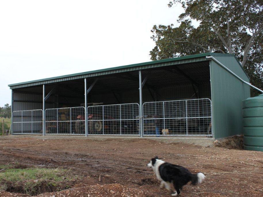 A Black And White Dog Standing In Front Of A Barn — Just Sheds In Brendale, QLD