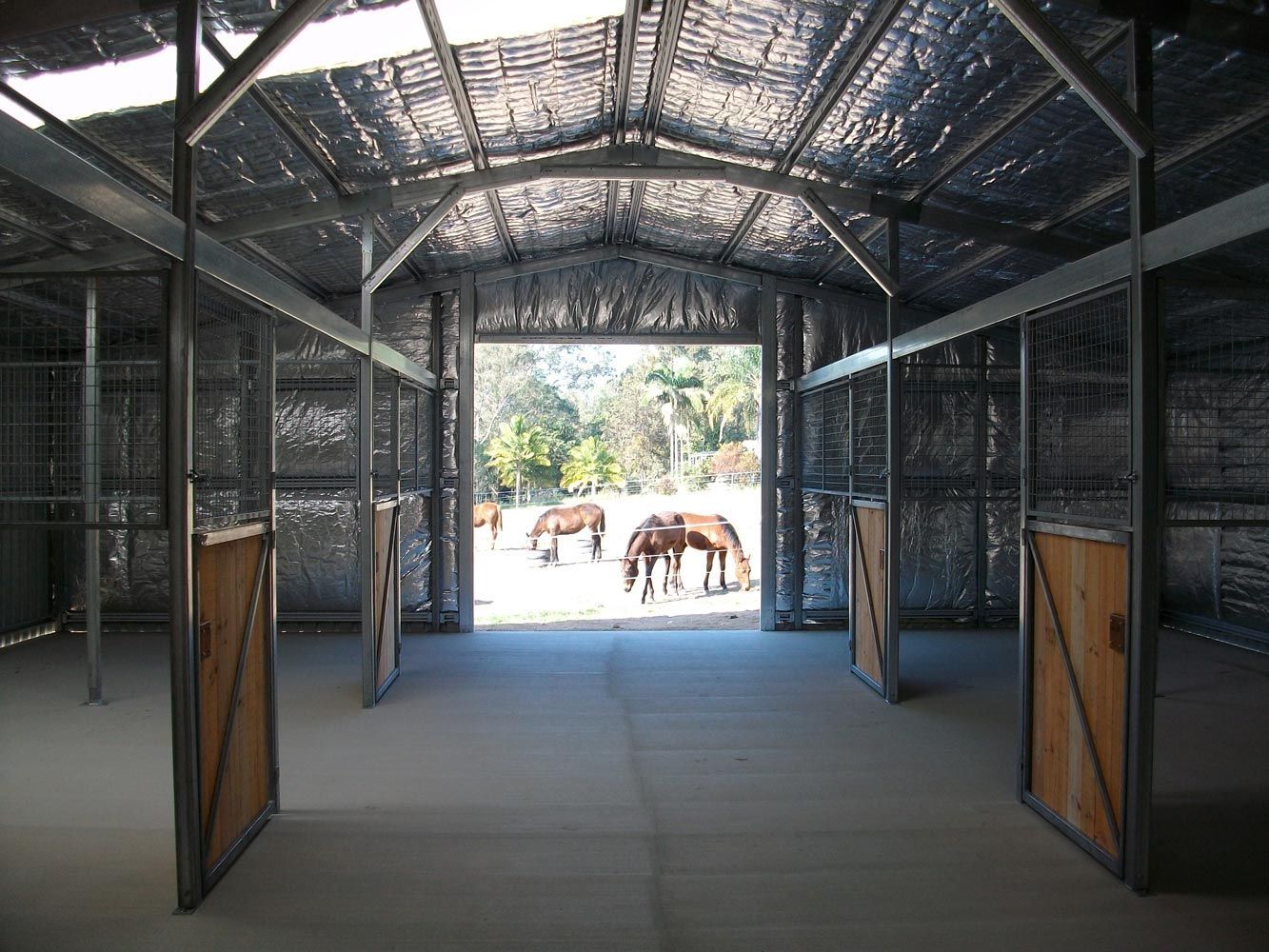 Three Horses Are Grazing In A Barn With The Door Open — Just Sheds In Kunda Park, QLD