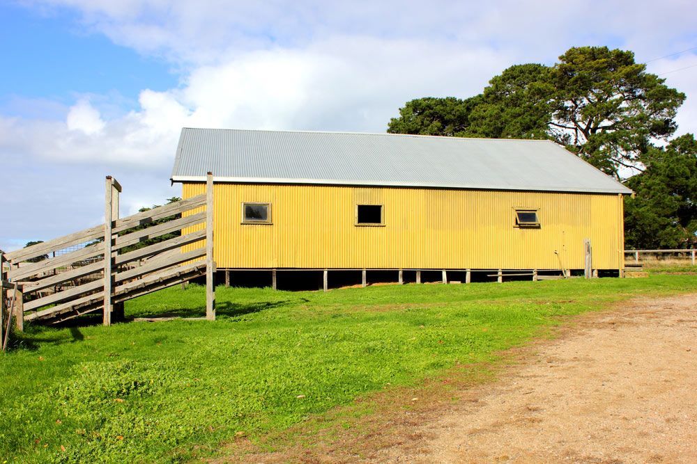Vibrant Yellow Shed Surrounded by Green Grass