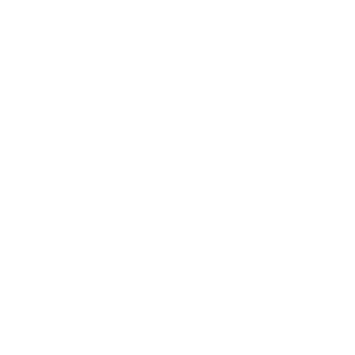 Christian Bethlehem Center logo