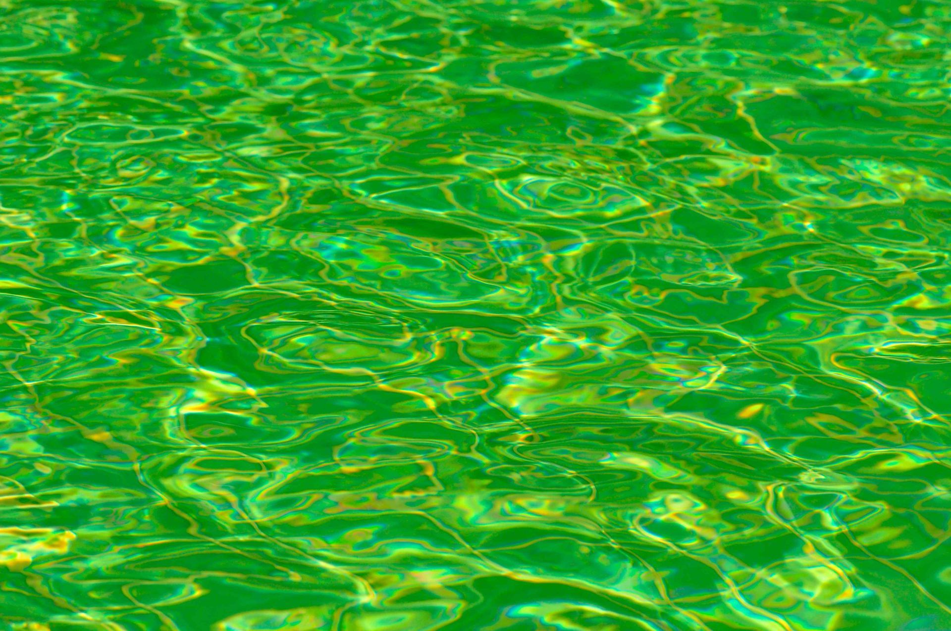 green pool water reflecting light
