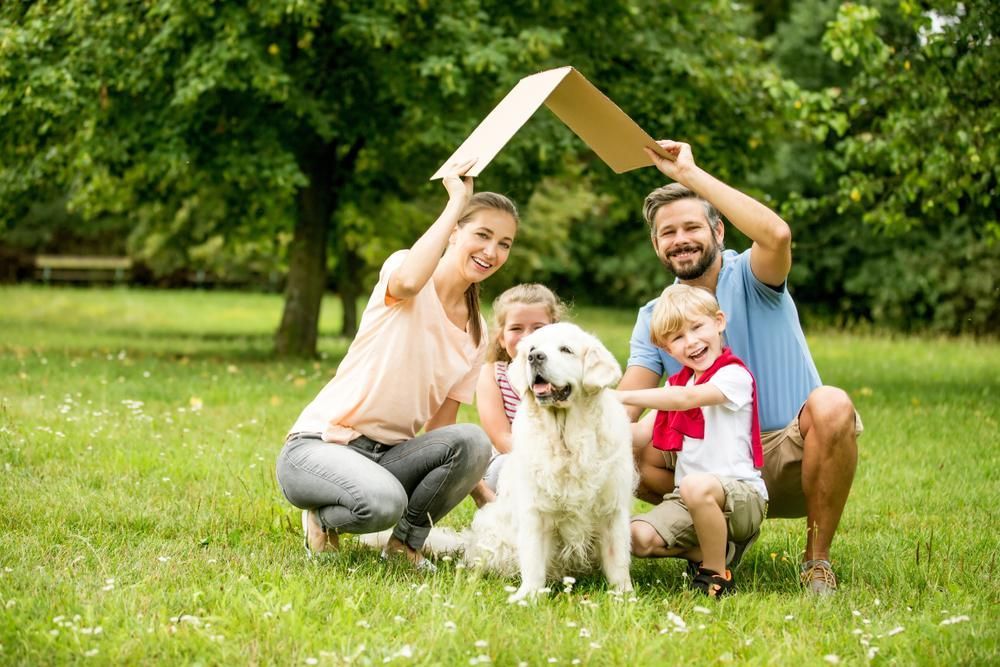 A Family Is Sitting In The Grass With A Dog Under A Cardboard Roof — Howells & Co Legal & Conveyancing In Sydney, NSW