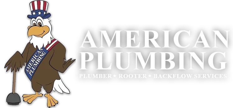 Plumbing, Rooter, and Backflow Services