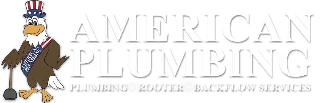 Plumbing, Rooter, and Backflow Services